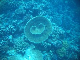 Schnorchelausflüge (50).jpg