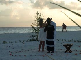 Hochzeitszeremonie (37).jpg