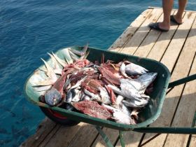 Verschiedenes (5).JPG