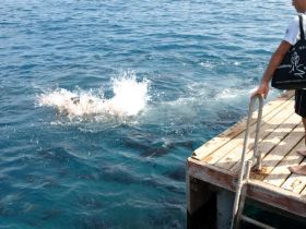 Verschiedenes (6).JPG