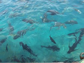 Verschiedenes (7).JPG